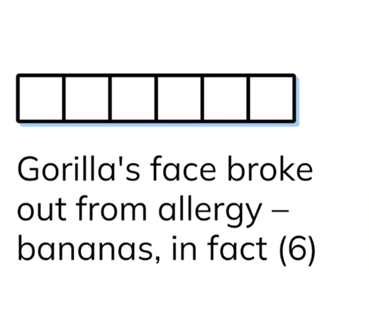 Cryptic crossword clue showing six empty letter boxes with the clue text Gorilla's face broke out from allergy bananas in fact 6